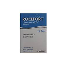 ROCEFORT iv